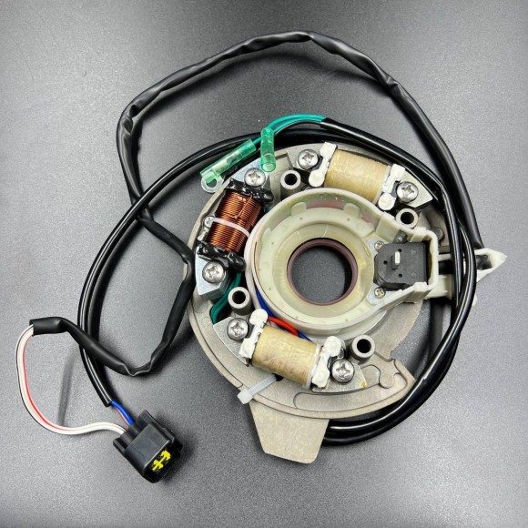 Магнето в сборе с катушкой 12V Yamaha 40X (YUELANG) Магнето в сборе с катушкой 12V Yamaha 40X (YUELANG)