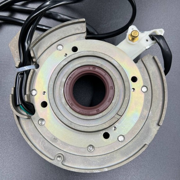 Магнето в сборе с катушкой 12V Yamaha 40X (YUELANG) Магнето в сборе с катушкой 12V Yamaha 40X (YUELANG)