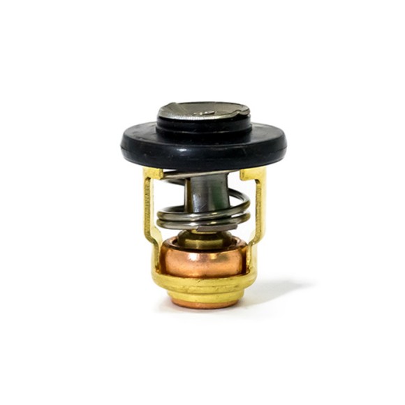 Термостат Yamaha 6E5-12411-30