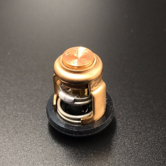 Термостат Yamaha 6E5-12411-30