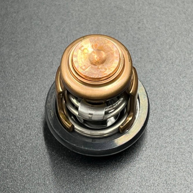 Термостат Yamaha 6E5-12411-30