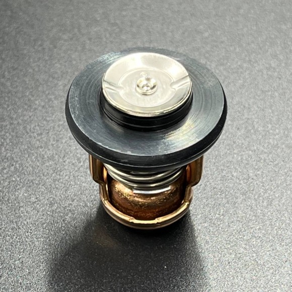 Термостат Yamaha 6E5-12411-30