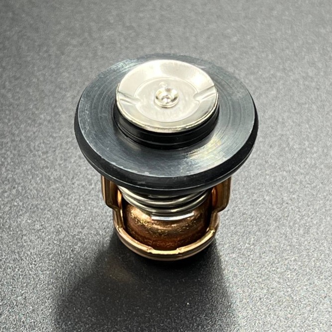 Термостат Yamaha 6E5-12411-30