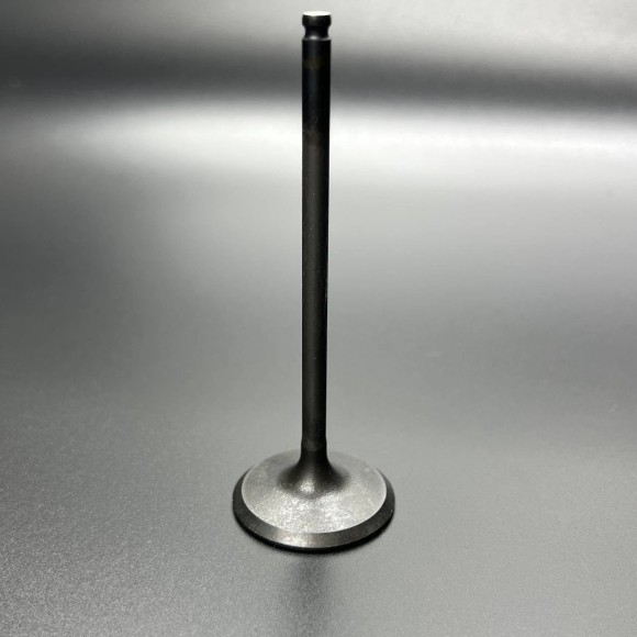 Клапан впуска Yamaha FX10/ RFX10 (Yamaha)