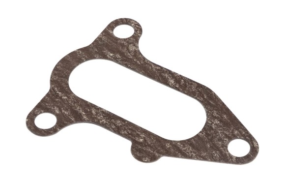 Прокладка термостата DF 250