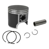 Поршень Arctic Cat 1000 (T-Moly, номинал) 09-612