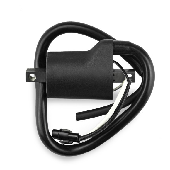 Катушка зажигания Polaris SM-01180