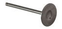 Клапан впускной DF150-250T