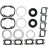 Полный комплект прокладок BRP 503F 09-711196