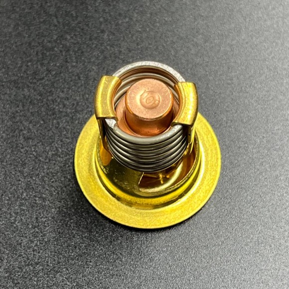 Термостат Mercury (110°F)  (JSP)