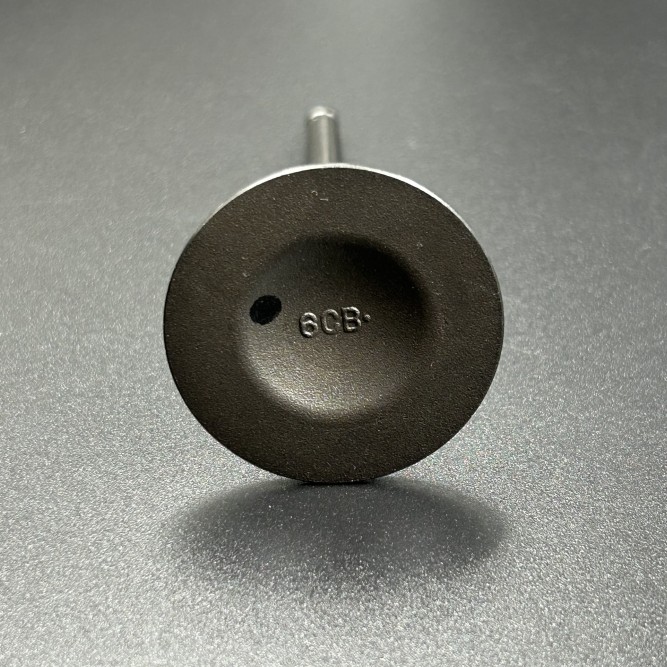 Клапан впуска Yamaha F150-300 (6CB-12111-00) (Yamaha)