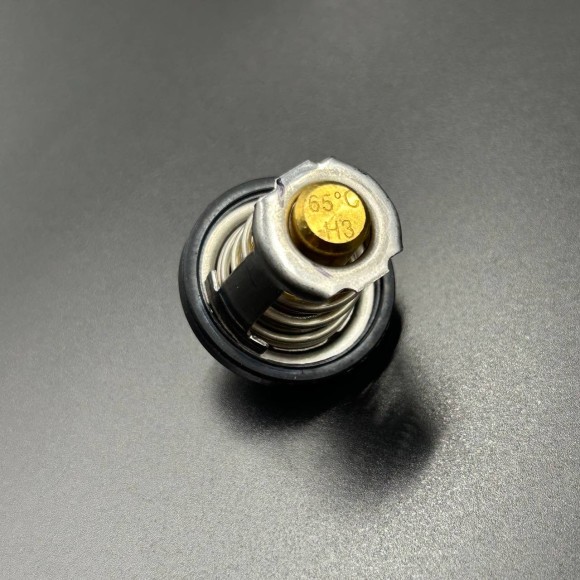 Термостат ATV X8, Z8, U8, X5 H.O, X4, X10 U10 Z10 EPS (ZIBO)