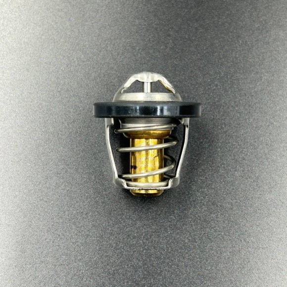 Термостат ATV X8, Z8, U8, X5 H.O, X4, X10 U10 Z10 EPS (ZIBO)