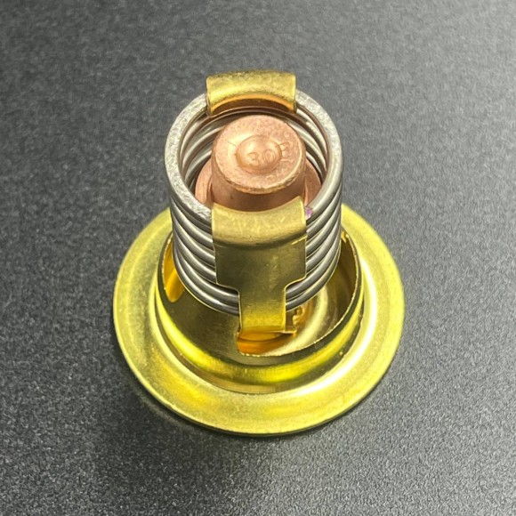 Термостат Mercury(130°F)  (JSP)