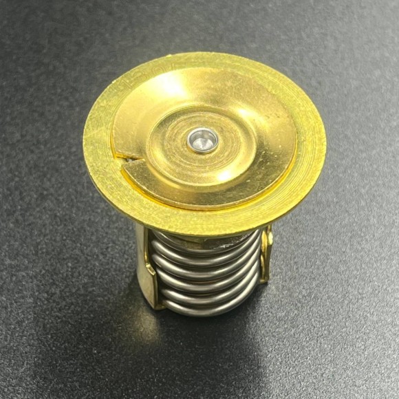 Термостат Mercury(130°F)  (JSP)