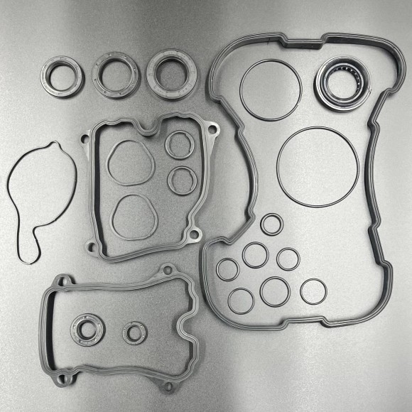 Набор резиновых уплотнений и сальников CFM 800 (ZIBO)