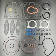 Ремкомплект двигателя Artic Cat 600 (KINETIX)(ПОЛНЫЙ) Ремкомплект двигателя Artic Cat 600 (KINETIX)(ПОЛНЫЙ)