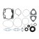 Комплект прокладок с сальниками Sledex для Polaris 900LC