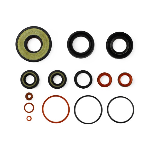 Комплект прокладок двигателя Skipper для Yamaha Модели техники: 9.9D/15D