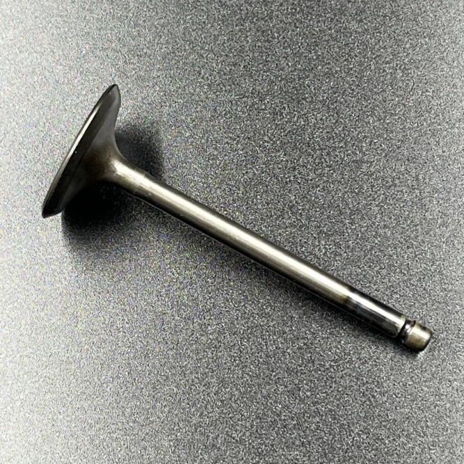 Клапан впускной Yamaha F20-60 FT25-60 (Yamaha)