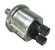 Датчик давления масла 0-10bar 1/8", 10-184om
