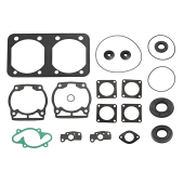 Комплект прокладок с сальниками Sledex для Ski-Doo 583LC