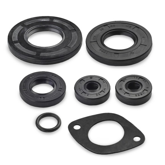 Комплект прокладок с сальниками Sledex для Ski Doo 670LC