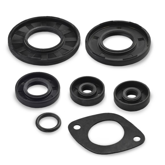 Комплект прокладок с сальниками Sledex для Ski Doo 670LC