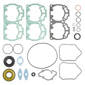 Комплект прокладок с сальниками Sledex для Ski-Doo 600LC