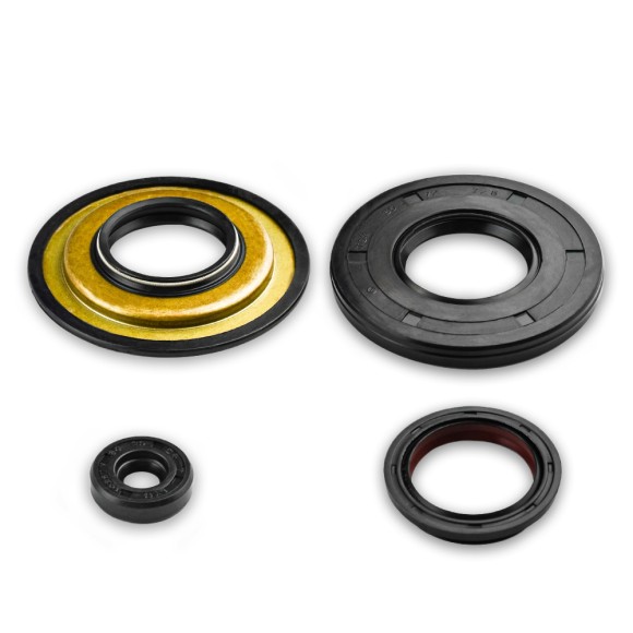 Комплект прокладок с сальниками Sledex для Ski-Doo 600LC