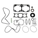 Полный комплект прокладок Polaris 800LC 09-711310