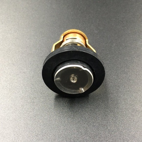 Термостат Yamaha 67F-12411-01