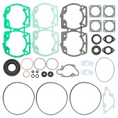 Полный комплект прокладок BRP 670 09-711215