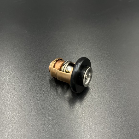 Термостат Yamaha F9.9-20 (Yamaha)