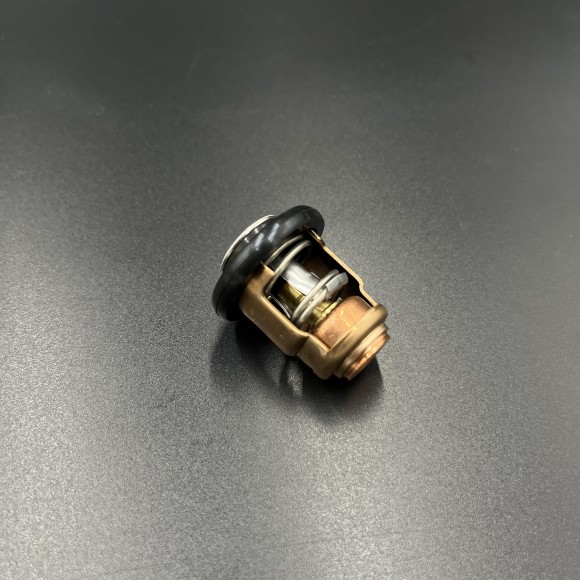 Термостат Yamaha F9.9-20 (Yamaha)