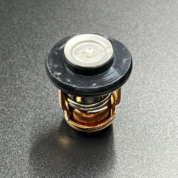 Термостат Yamaha F9.9-20 (Yamaha)