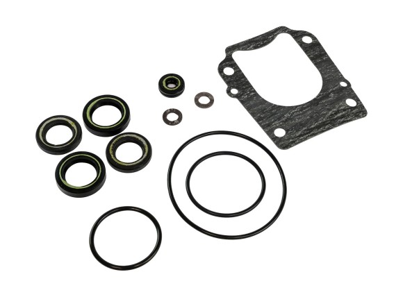 Ремкомплект редуктора Ремкомплект редуктора