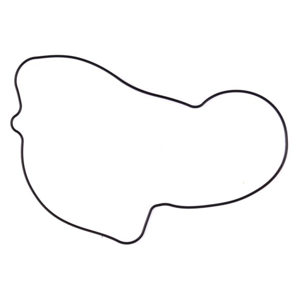 Комплект прокладок с сальниками Sledex для Yamaha 700LC