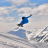 Комбинезон FXR Ridge без утеплителя Blue/Dark Blue, S