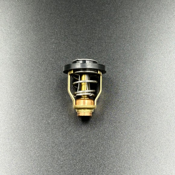 Термостат Suzuki DF90-300, DF70-90 60℃ (17670-90J01) (Omax)
