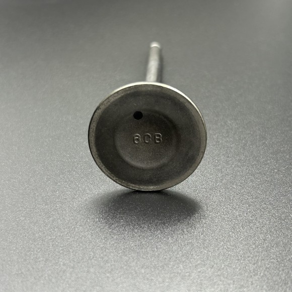 Клапан выпускной Yamaha F200-350 (Yamaha)