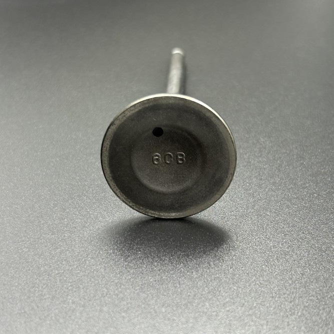Клапан выпускной Yamaha F200-350 (Yamaha)