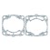 Полный комплект прокладок Polaris 600 09-711297
