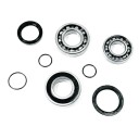 Комплект подшипников КПП Yamaha SM-03205