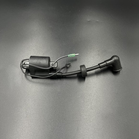 Катушка зажигания высоковольтная Yamaha 25-30 (6E0-85570-21 66T-85570-21) (WUHU)