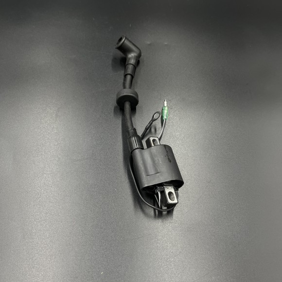 Катушка зажигания высоковольтная Yamaha 25-30 (6E0-85570-21 66T-85570-21) (WUHU)