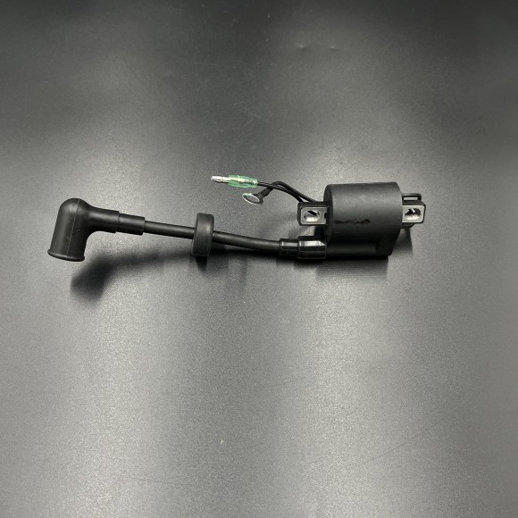 Катушка зажигания высоковольтная Yamaha 25-30 (6E0-85570-21 66T-85570-21) (WUHU)