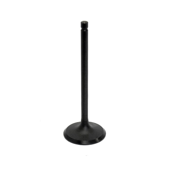 Впускной клапан Yamaha AU-09151I
