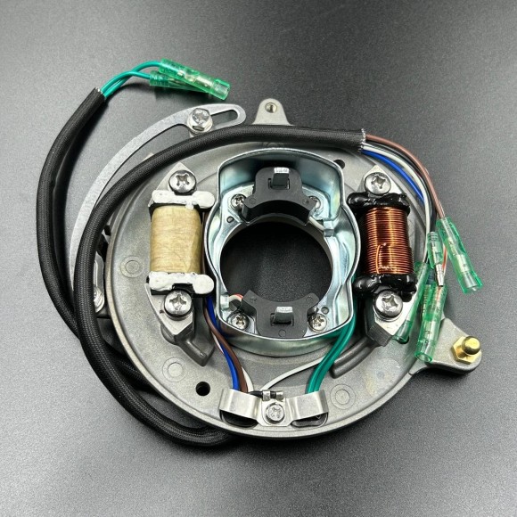 Магнето в сборе Yamaha 25-30 (YUELANG)(c катушкой 12v)