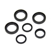 Комплект сальников редуктора Polaris AT-03598